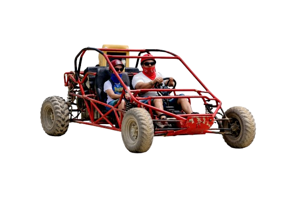 buggies-2
